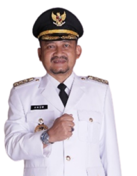 Anom Widiyantoro