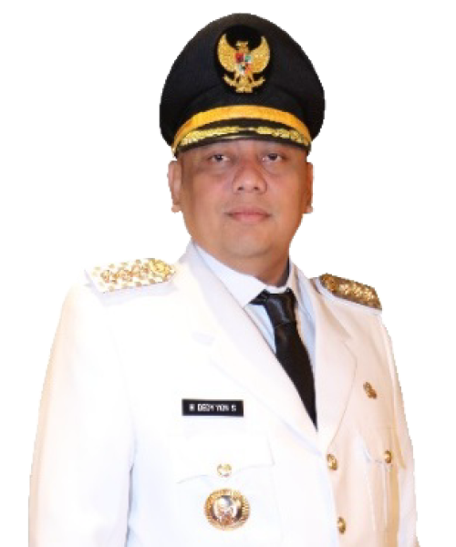 Dedy Yon Supriyono