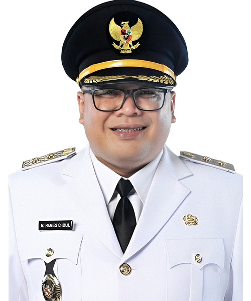 Mochamad Hanies Cholil Barro