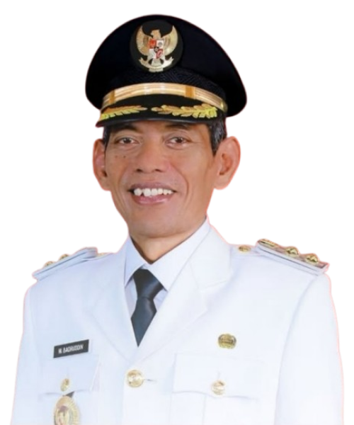 Muhammad Badruddin