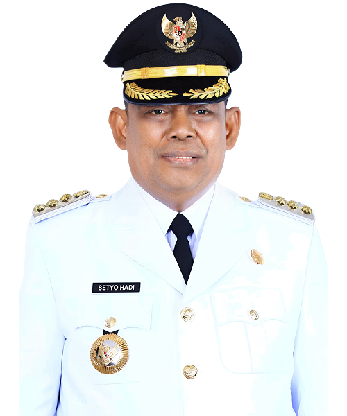 Setyo Hadi