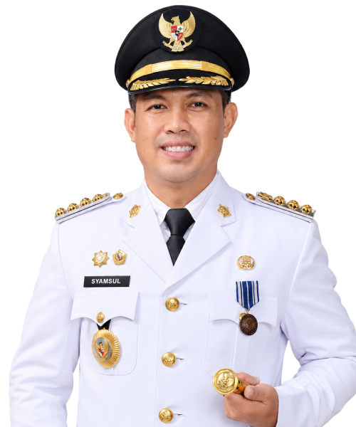 Syamsul Aulia Rachman